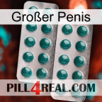 Großer Penis dapoxetine2